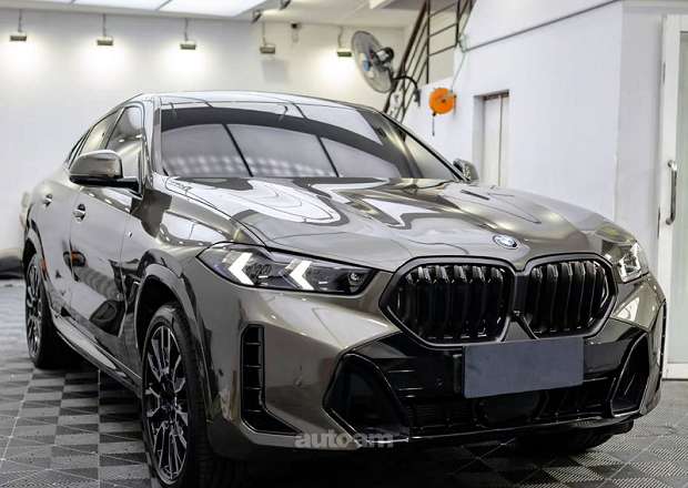 BMW X6