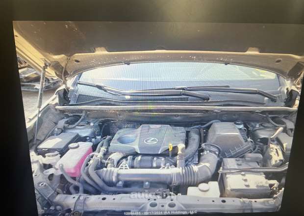 Lexus NX Turbo 2019 — photo 12