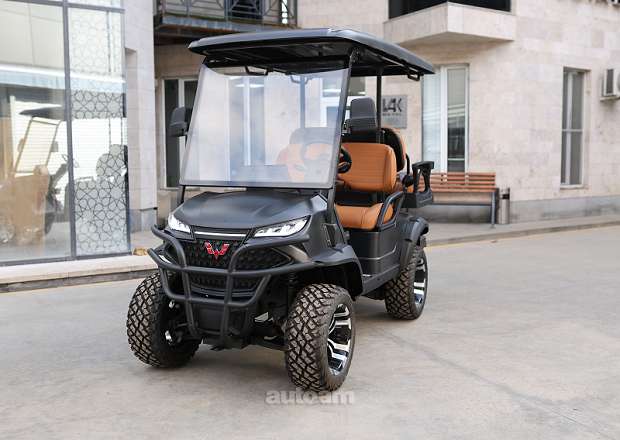 WULING Golf Car