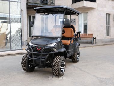 WULING Golf Car  2025 