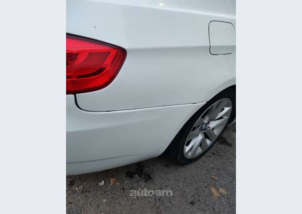 BMW 320 2010 — լուսանկար 13
