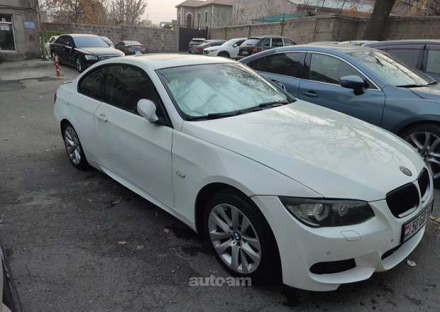 BMW 320 2010 — լուսանկար 15