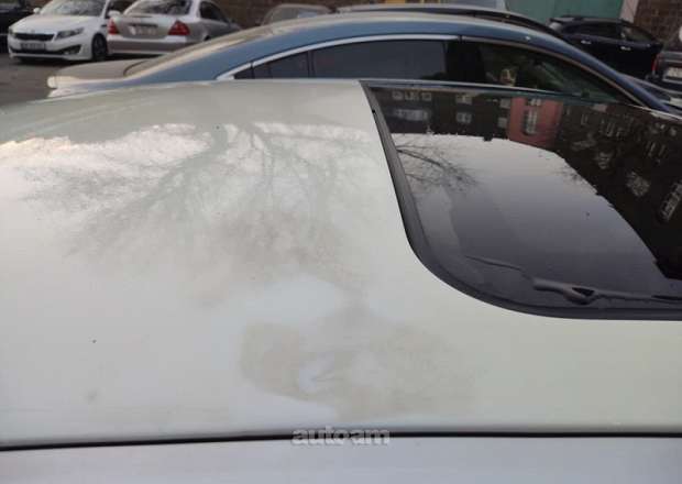 BMW 320 2010 — լուսանկար 14