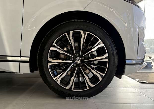 Dongfeng 008