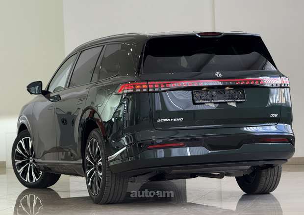 Dongfeng 008