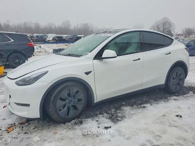 Tesla Model Y  2024 