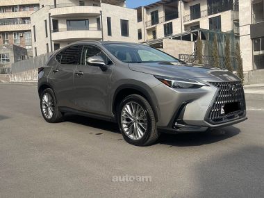 Lexus NX 350  2024 