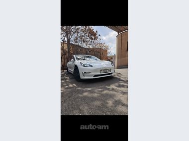Tesla Model 3  2019 