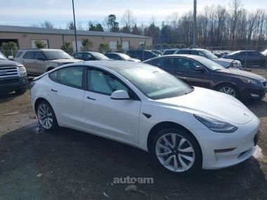 Tesla Model 3  2019 