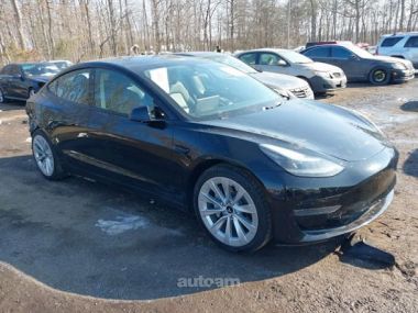 Tesla Model 3  2021 