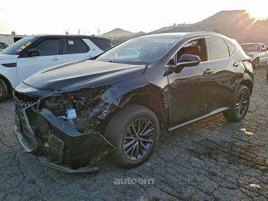 Lexus NX 350  2023 