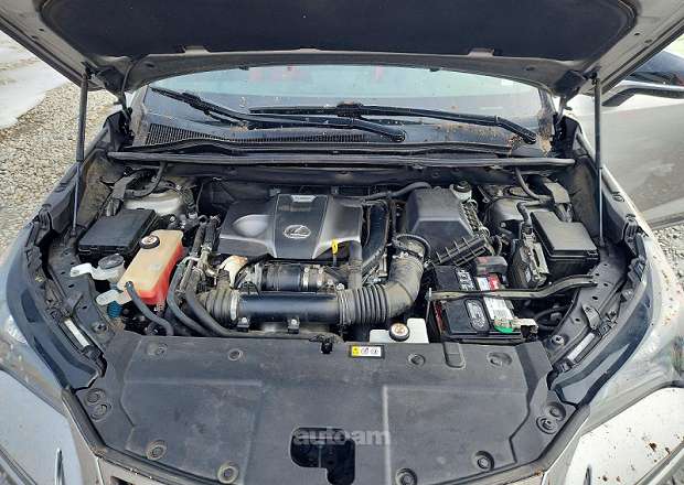 Lexus NX Turbo F Sport