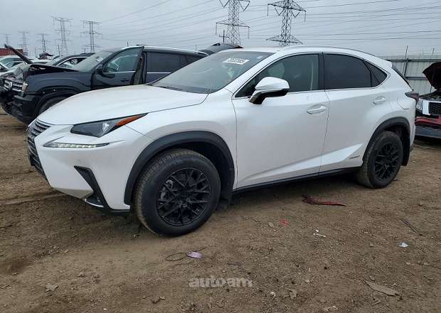 Lexus NX 300h