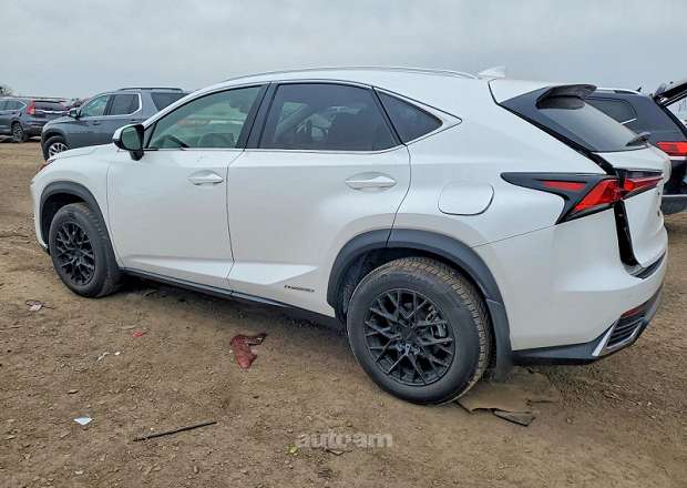 Lexus NX 300h