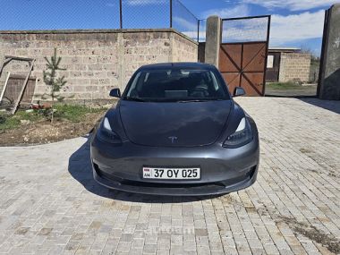 Tesla Model 3  2022 