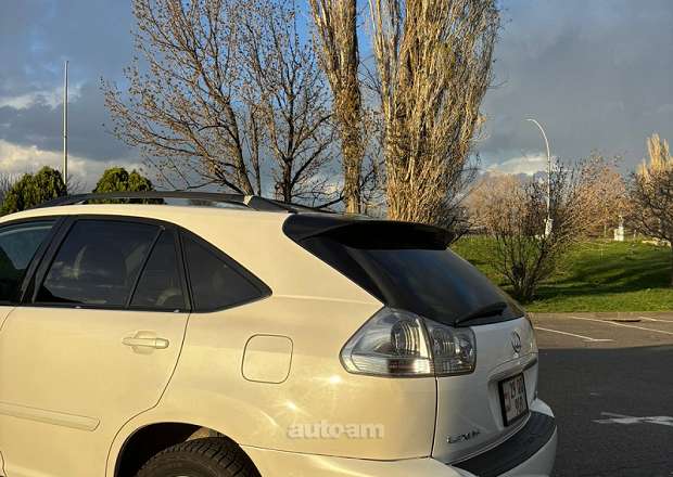Lexus RX 330 2005 — լուսանկար 6