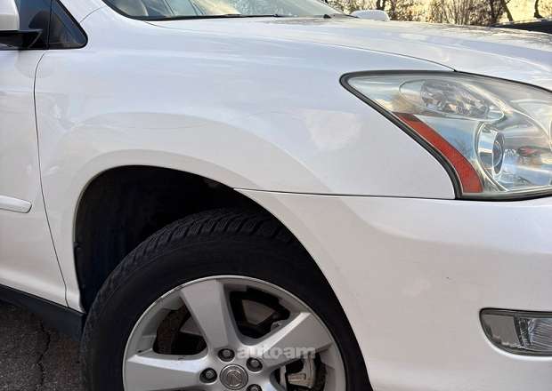Lexus RX 330 2005 — լուսանկար 14
