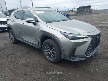 Lexus NX 350  2023 