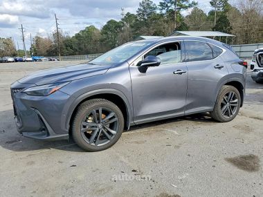 Lexus NX 350  2024 