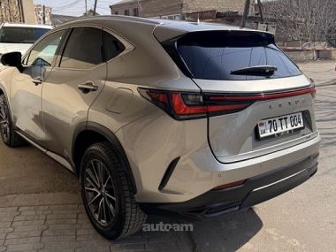 Lexus NX 350  2023 