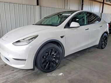 Tesla Model Y  2021 