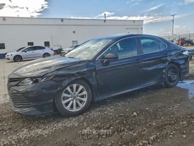 Toyota Camry  2020 