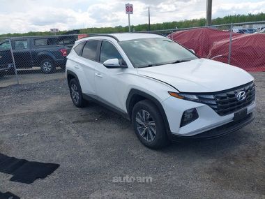 Hyundai Tucson  2023 