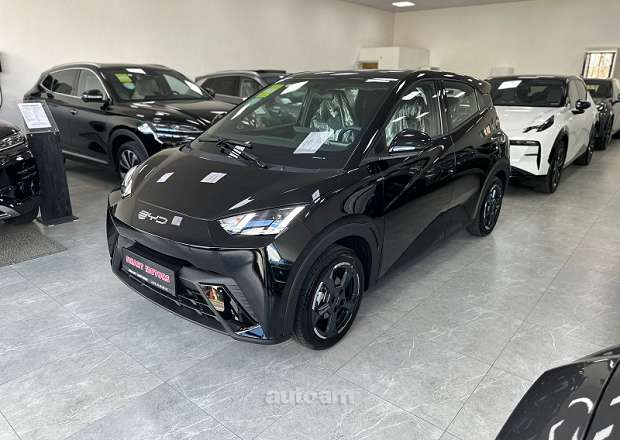 BYD Seagull