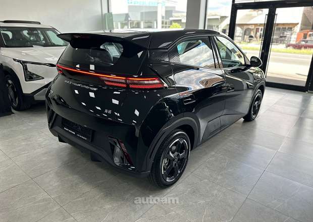 BYD Seagull