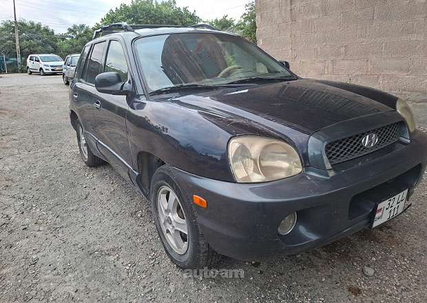 Hyundai Santa Fe 2004 — լուսանկար 4