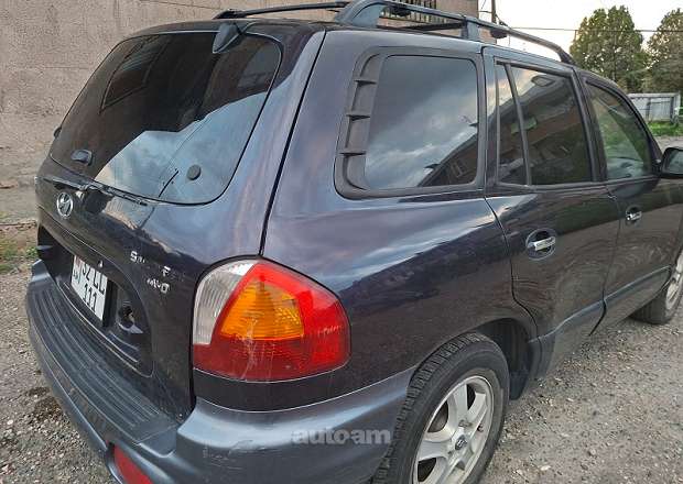Hyundai Santa Fe 2004 — լուսանկար 7