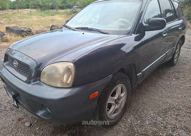 Hyundai Santa Fe 2004 — լուսանկար 3