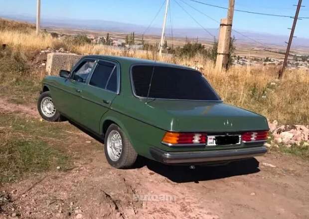 Mercedes-Benz E 230 1978 — լուսանկար 2