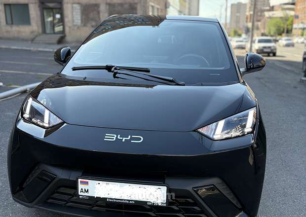 BYD Seagull