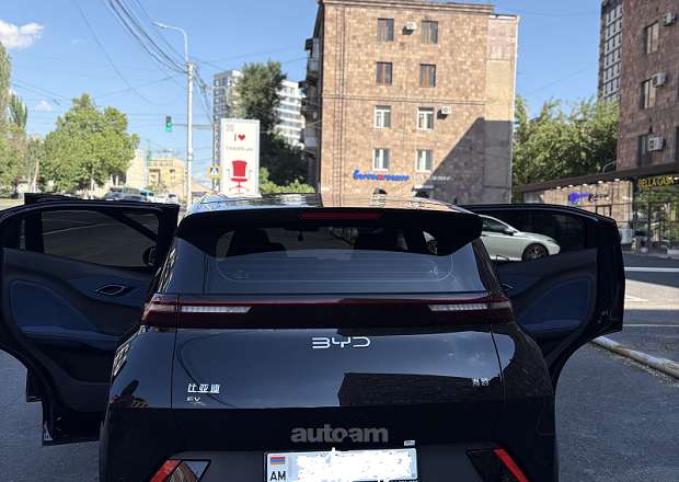 BYD Seagull