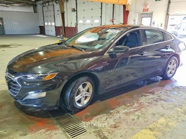 Chevrolet Malibu  2023 