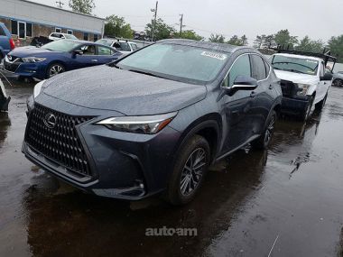 Lexus NX 350  2024 