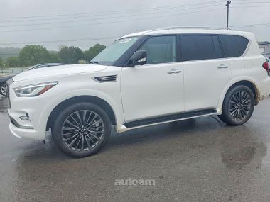 Infiniti QX80  2024 