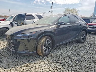 Lexus RX 350  2025 