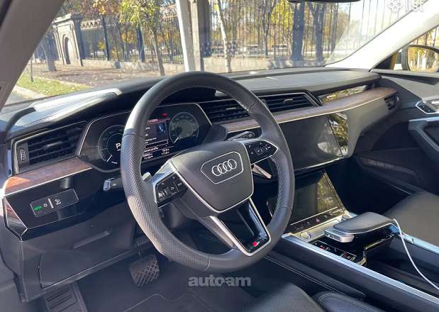 Audi e-tron 2019 — լուսանկար 6