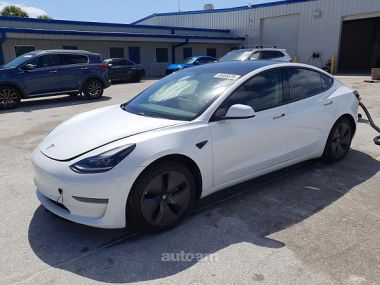 Tesla Model 3  2021 