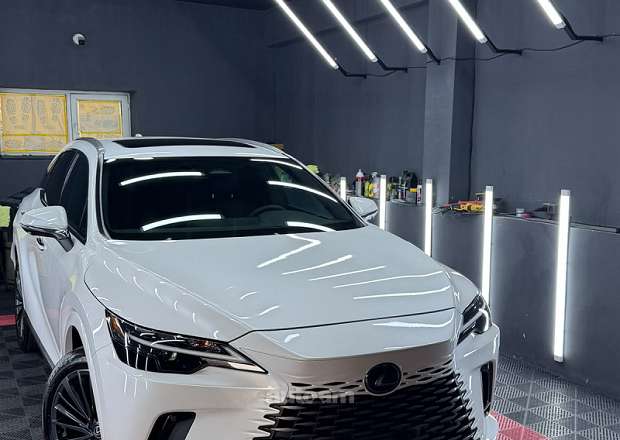 Lexus RX 350 2025 — photo 8