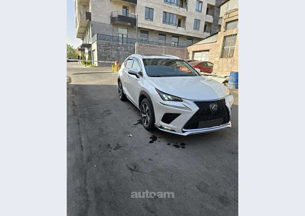 Lexus NX 300t 2018 — фото 2