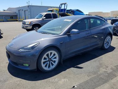 Tesla Model 3  2021 
