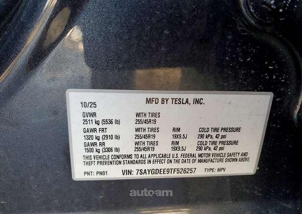 Tesla Model Y