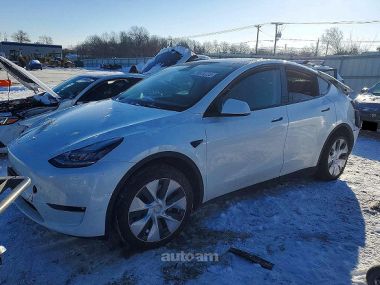 Tesla Model Y  2021 