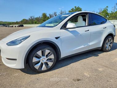 Tesla Model Y  2021 