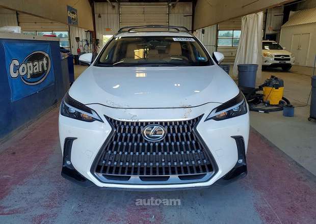 Lexus NX 350