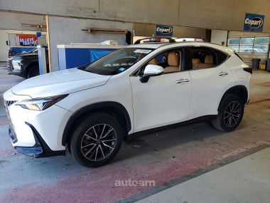 Lexus NX 350  2024 