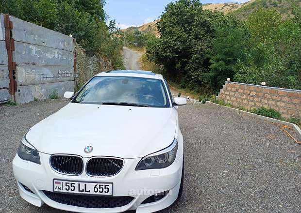 BMW 530 2008 — լուսանկար 9